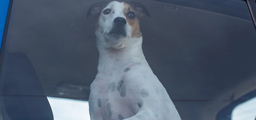 Car Lockout Solutions in Millbrae, California